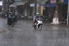 Ảnh minh họa. (Nguồn: Phạm Cường/TTXVN)