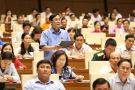 Đại biểu Quốc hội tỉnh Thái Nguyên Hoàng Văn Hùng chất vấn. (Ảnh: Doãn Tấn/TTXVN)