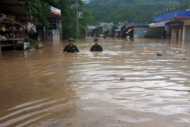 Bộ đội Biên phòng Nghệ An ngâm mình trong nước giúp dân tìm kiếm tài sản bị lũ cuốn trôi. (Ảnh: TTXVN phát)