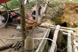 (Ảnh: Quốc Khánh/TTXVN)