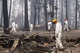 Lực lượng cứu hộ tham gia khắc phục hậu quả cháy rừng ở Paradise, bang California, Mỹ ngày 13/11/2018. (Ảnh: THX/TTXVN)