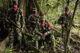 Các tay súng ELN. (Nguồn: Opanoticias/TTXVN)