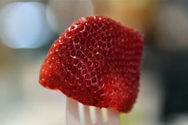 Dâu tây tại một nhà hàng ở Sydney, Australia ngày 19/9/2018. (Ảnh: AFP/TTXVN)