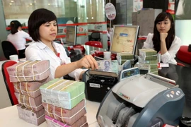 (Ảnh minh họa. Trần Việt/TTXVN)