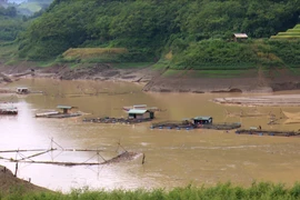 Các hộ nuôi cá lồng ở Đà Vị (Na Hang, Tuyên Quang) bị thiệt hại nặng sau trận mưa. (Ảnh: Văn Tý/TTXVN)