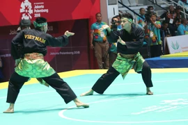 (Ảnh minh họa. Trọng Tuệ/TTXVN)