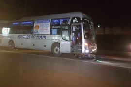 (Ảnh minh họa. Đậu Tất Thành/TTXVN)