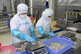 Chế biến thủy sản xuất khẩu. (Ảnh: Hoàng Nhị/TTXVN)