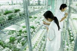 Thúc đẩy chuyển giao công nghệ của Israel vào Việt Nam