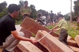 Bình Phước: Phát hiện 40 khối gỗ lậu ở khu vực biên giới