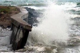 Triều cường gây ngập nặng toàn tuyến ven biển Cà Mau