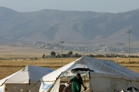 Liên hợp quốc chuyển hàng cứu trợ mùa Đông cho người dân Iraq