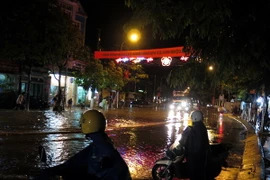 Ảnh chỉ có tính minh họa. (Ảnh: Điêu Chính Tới/TTXVN)