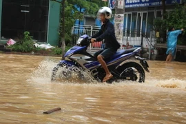 Ảnh chỉ có tính minh họa. (Ảnh: Nguyễn Thảo/TTXVN)