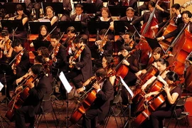 Ảnh chỉ có tính minh họa. (Ảnh: Tuấn Minh/TTXVN)