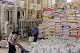 Chế biến gạo xuất khẩu tại Xí nghiệp Chế biến lương thực cao cấp Tân Túc (huyện Bình Chánh). (Ảnh: Đình Huệ/TTXVN)