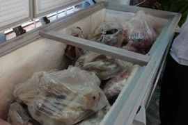 Ảnh chỉ có tính minh họa. (Ảnh: Đậu Tất Thành/TTXVN)