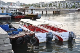 Các phương tiện vi phạm đang bị tạm giữ. (Ảnh: Trung Nguyên/TTXVN)