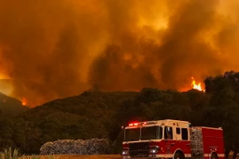 Lực lượng cứu hỏa dập lửa cháy rừng tại Santa Barbara, California, Mỹ. (Nguồn: EPA/TTXVN)