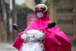 Ảnh chỉ có tính minh họa. (Ảnh: Lê Minh Sơn/Vietnam+)