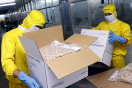 Công nhân Seavina đóng thùng sản phẩm xuất khẩu sau khi chế biến. (Ảnh: Thanh Liêm/TTXVN)