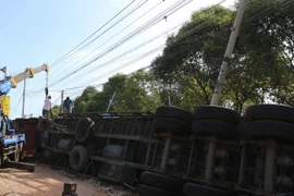 Ảnh chỉ có tính minh họa. (Ảnh: Dương Giang/TTXVN)