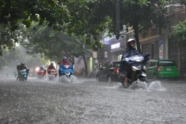 Ảnh chỉ có tính minh họa. (Ảnh: Công Luật/TTXVN)