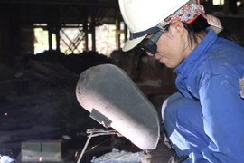 Ảnh chỉ có tính minh họa. (Ảnh: Thái Bình/TTXVN)