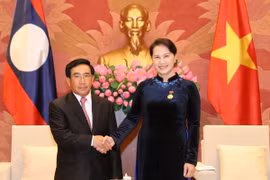 Chủ tịch Quốc hội Nguyễn Thị Kim Ngân tiếp Phó Chủ tịch nước Lào Phankham Viphavan. (Ảnh: Trọng Đức/TTXVN)