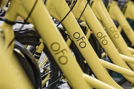 Xe đạp tham gia mạng lưới chia sẻ của Ofo. (Nguồn: Getty Images)