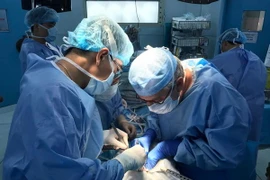 Ảnh chỉ có tính minh họa. (Nguồn: TTXVN)