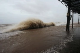 Ảnh chỉ có tính minh họa. (Ảnh: Trọng Đạt/TTXVN)