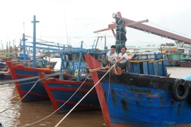 Ngư dân neo đậu tàu, thuyền để tránh bão. (Ảnh: Lâm Khánh/TTXVN)