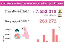 [Infographics] 263.272 liều vaccine được tiêm trong ngày 4/8