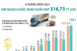 [Infographics] Tổng kim ngạch xuất, nhập khẩu đạt 316,73 tỷ USD