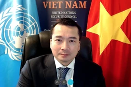 Đại sứ Phạm Hải Anh phát biểu tại phiên họp của Hội đồng Bảo an về OSCE. (Ảnh: Khắc Hiếu/TTXVN)