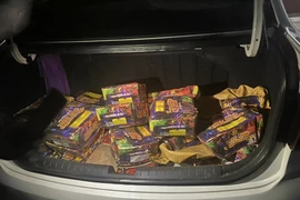 Ảnh minh họa (Nguồn: TTXVN)