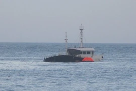 Ảnh minh họa. (Nguồn: TTXVN)