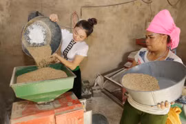 (Ảnh minh hoạ: Trần Việt/TTXVN)