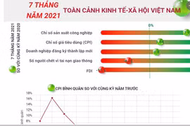 [Infographics] Toàn cảnh kinh tế-xã hội Việt Nam 7 tháng năm 2021