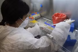Nhân viên y tế xét nghiệm mẫu dịch để phát hiện các trường hợp mắc COVID-19 tại thành phố Or Yehuda, Israel. (Ảnh: THX/TTXVN)