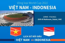 [Infographics] Thống kê đáng chú ý trước trận Việt Nam-Indonesia