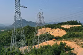 Ảnh minh họa. (Nguồn: TTXVN)