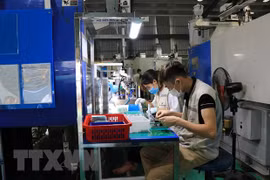 Công nhân làm việc tại Công ty Cổ phần Hanpo Vina, khu công nghiệp Yên Phong, tỉnh Bắc Ninh. (Ảnh: Thanh Thương/TTXVN) 
