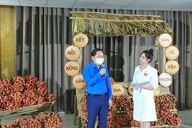 Bí thư thứ nhất Trung ương Đoàn Thanh niên Cộng sản Hồ Chí Minh, Chủ tịch Hội Liên hiệp Thanh niên Việt Nam Nguyễn Anh Tuấn phát biểu trực tuyến giới thiệu chương trình. (Ảnh: Minh Đức/TTXVN)