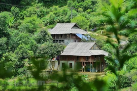 Một góc xóm Chiến của bà con người Mường, huyện Tân Lạc, Hòa Bình. (Ảnh: Mai Mai/Vietnam+) 