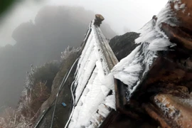 [Photo] Quảng Ninh: Băng giá trên đỉnh núi Cao Ly và chùa Đồng