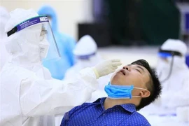 Lấy mẫu xét nghiệm COVID-19. (Ảnh: Thành Đạt/TTXVN)