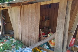 Voi rừng phá hoại tài sản của người dân ở khu vực ấp 5 xã Thanh Sơn, huyện Định Quán, tỉnh Đồng Nai. (Ảnh: TTXVN phát) 