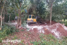 Khu hố chôn lợn chết tại khu 3, ấp Suối Râm, xã Xuân Quế, huyện Cẩm Mỹ, tỉnh Đồng Nai. (Nguồn: baodongnai.com.vn)